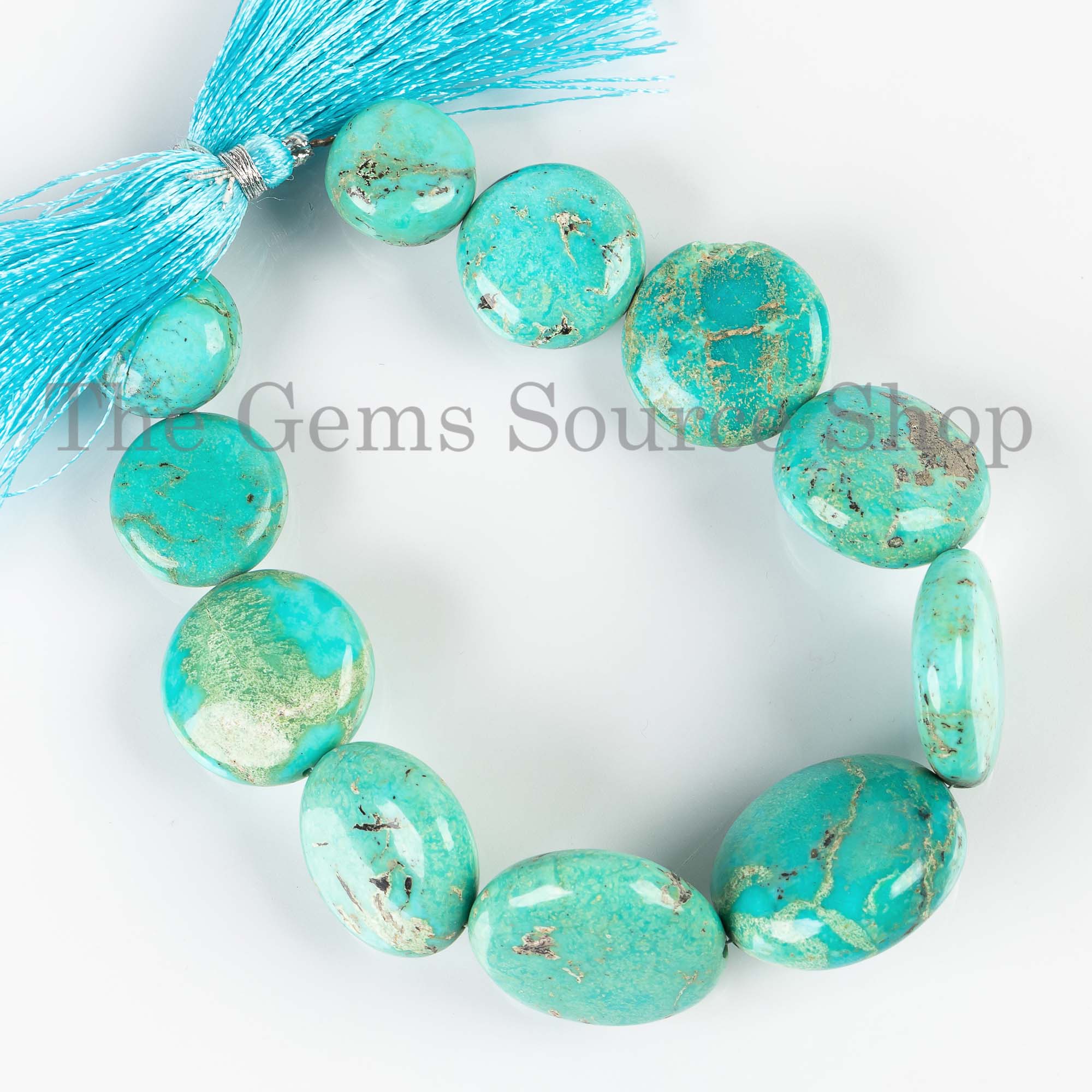16-25mm Turquoise Smooth Coin Shape Gemstone Beads TGS-4257